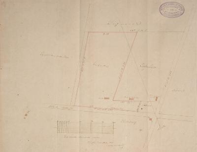 Mensura de la quinta de la señora Da Gregoria Rosas de Ezcurra